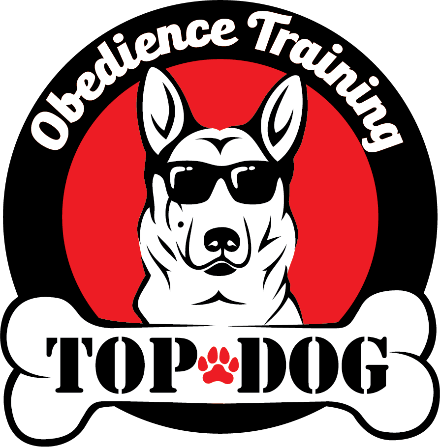 Top Dog Obedience Training